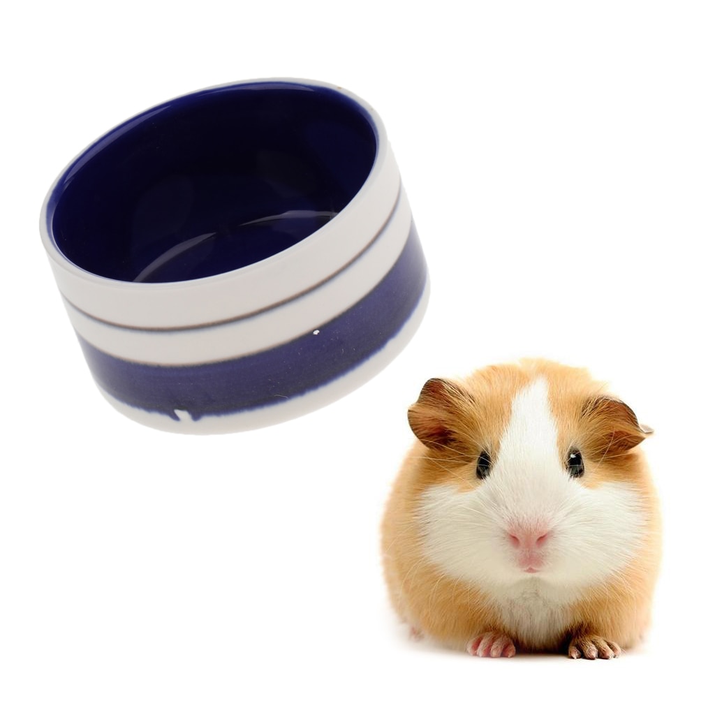 Hamsterskål, mat och vatten keramikskål för gnagare gerbil hamstrar möss marsvin cavy och andra små djur, blå