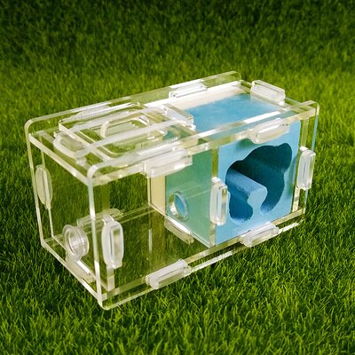 Maur slott maur spleise slott bionisk akryl gips maur reir kjæledyr maur slott verksted hjem maur reir: X5