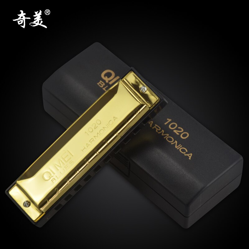 Blues Master Diatonische Harmonica 10 Holes Houder Unieke Melodie Mond Harp Harmonische Harmonica Enfant Folk Instrumenten BD50HH