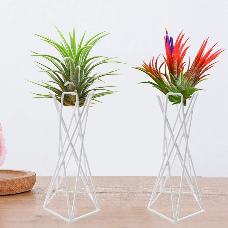 Soporte de soporte de planta de aire Tillandsia, bastidores de exhibición de plantas de aire de Metal de sobremesa contenedores para colgar plantas de Casa Tillandsia