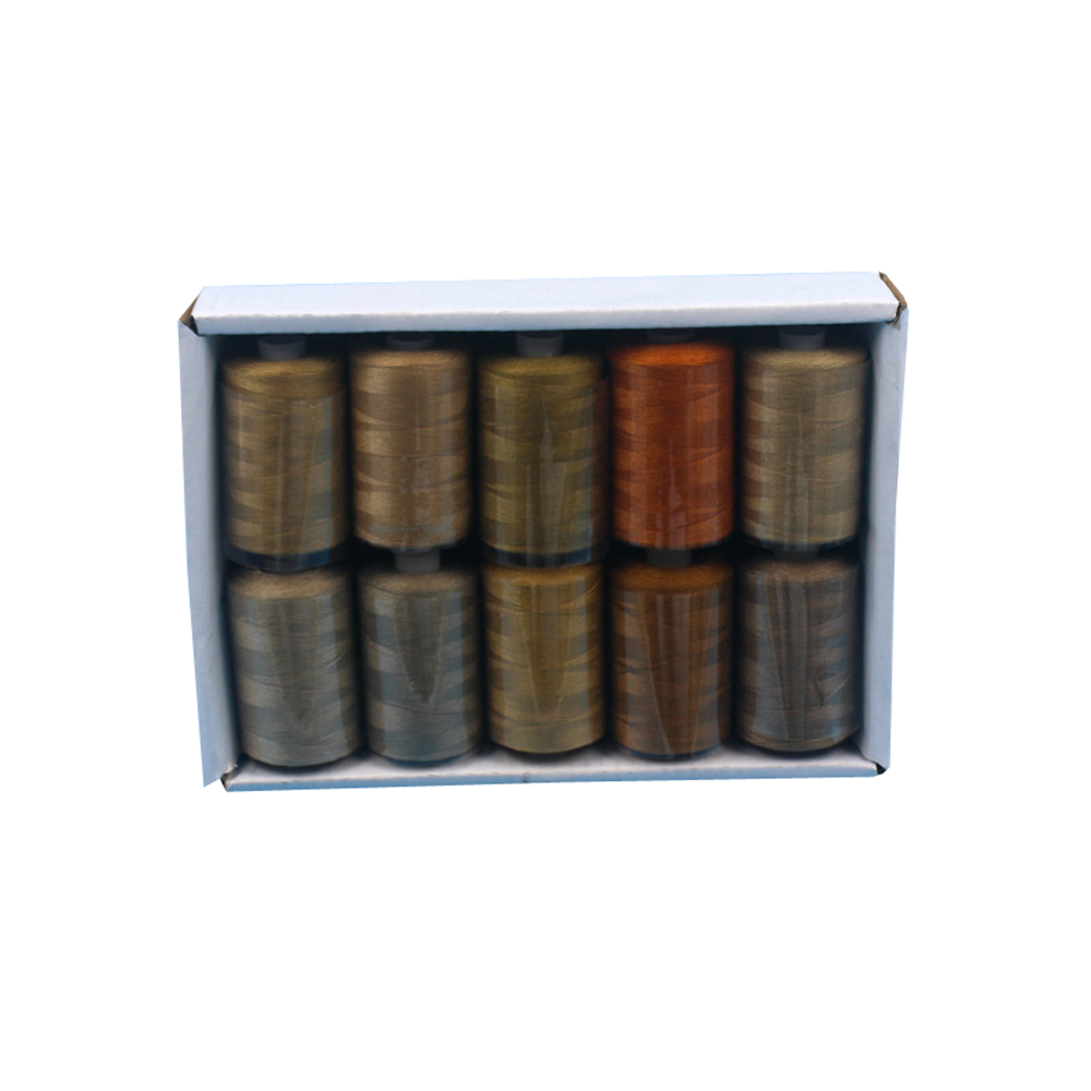 Sewing Thread 10 Colors Set 40S/2 For Sewing Machine Quilting Hand Sewing: set 5