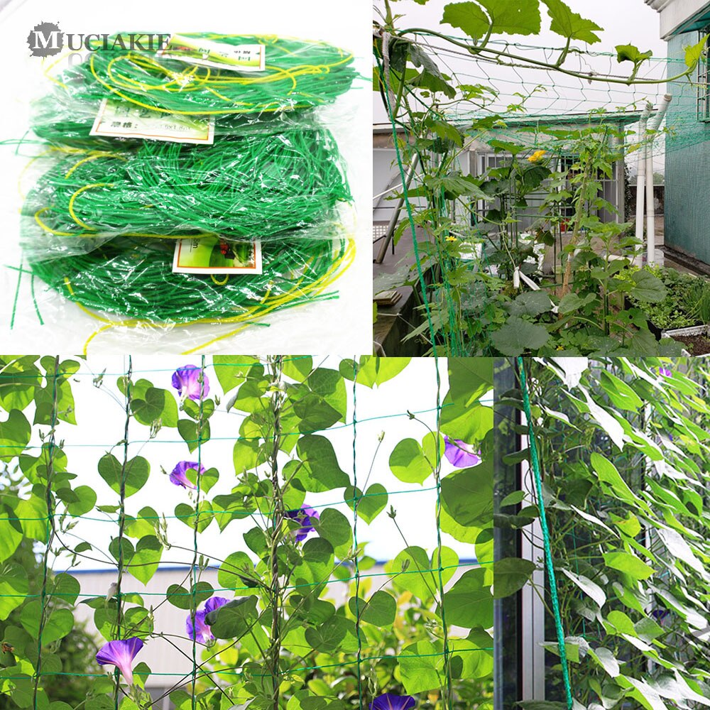 1PC Mesh 10x10cm Kunststoff Net Nylon Luffa Netting für Morgen Herrlichkeit Reben Blumen Pflanzen Klettern Net gurke Reben Wachsen Halter