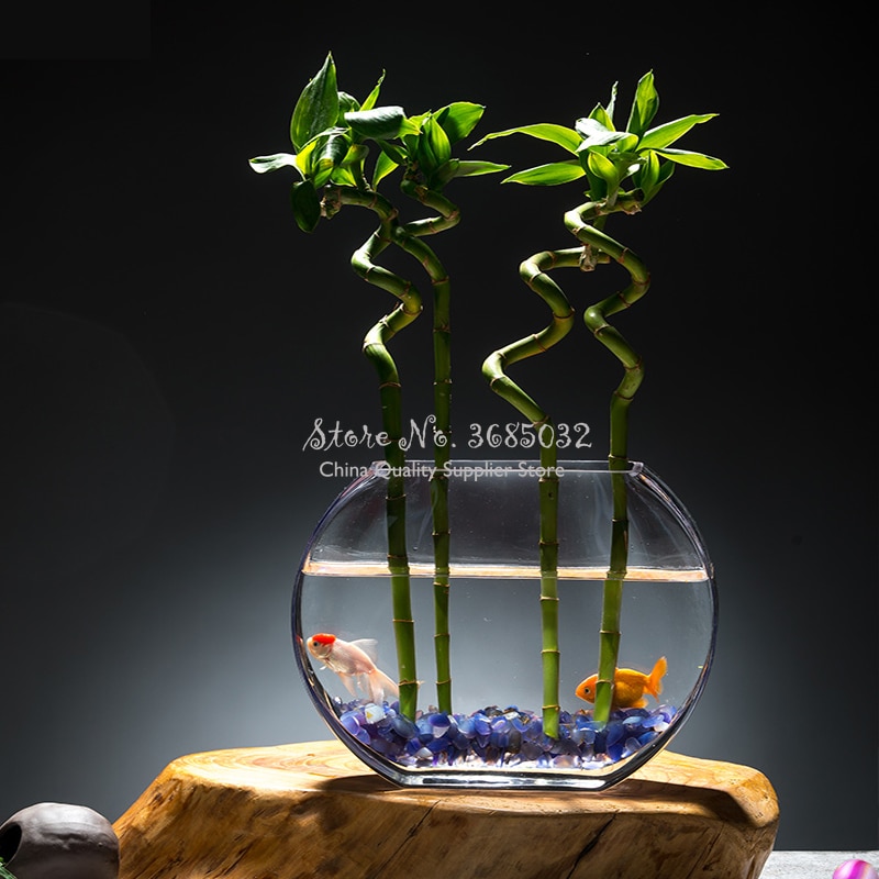 25cm Simple Round Peach Blossom Transparent Glass Fish Tank Gold Fish Tank Flat Round Mini Aquarium Fish Aquarium