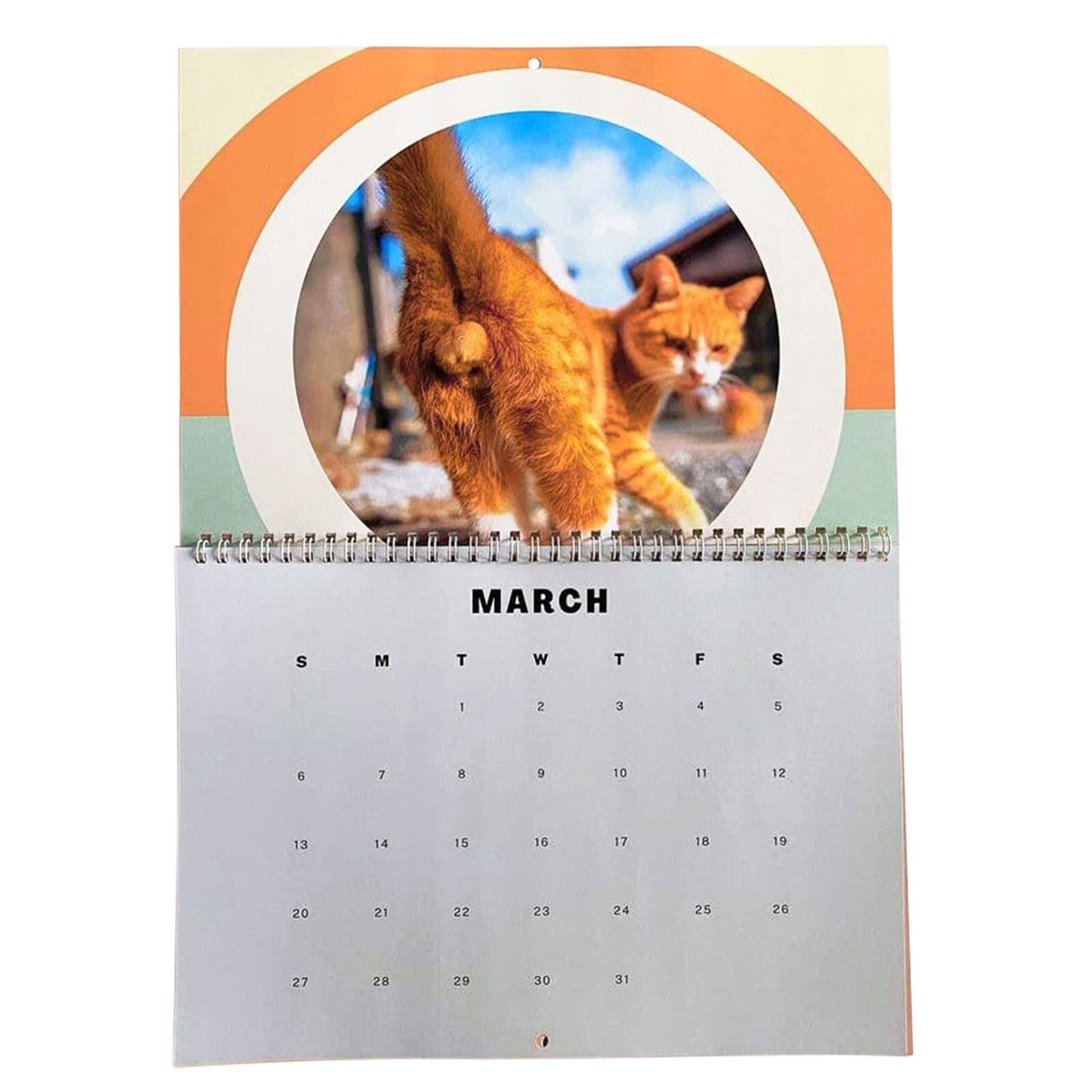 2022 Katten Patroon Kalender Rechthoek Muur Kalender Voor Thuis En Kantoor Maandelijkse 21*30Cm