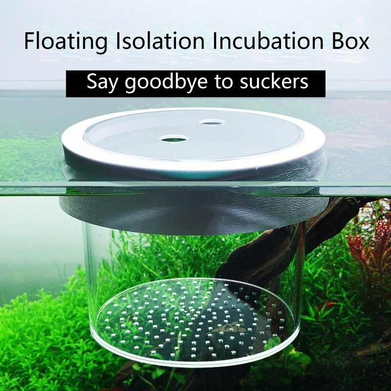 Fish Tank Isolation Box Separation Breeder Tanks Acrylic Transparent Floating Breeding Boxes Aquarium Mini Incubator
