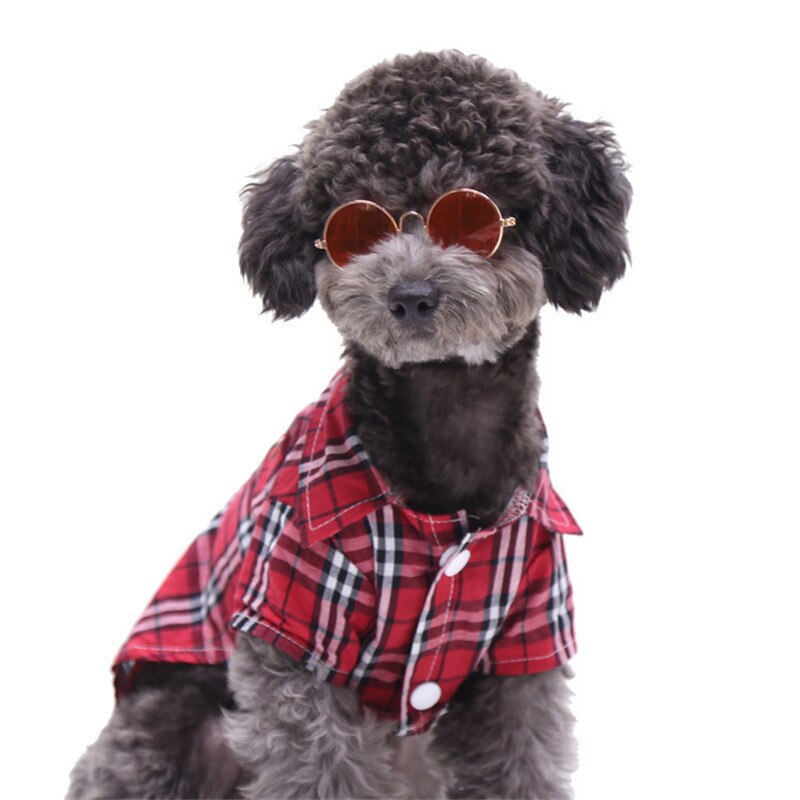 Pet suave Gato gafas de perro para mascotas de color al azar para perrito ojo de gato ropa de perro gafas de sol fotos de productos para mascotas