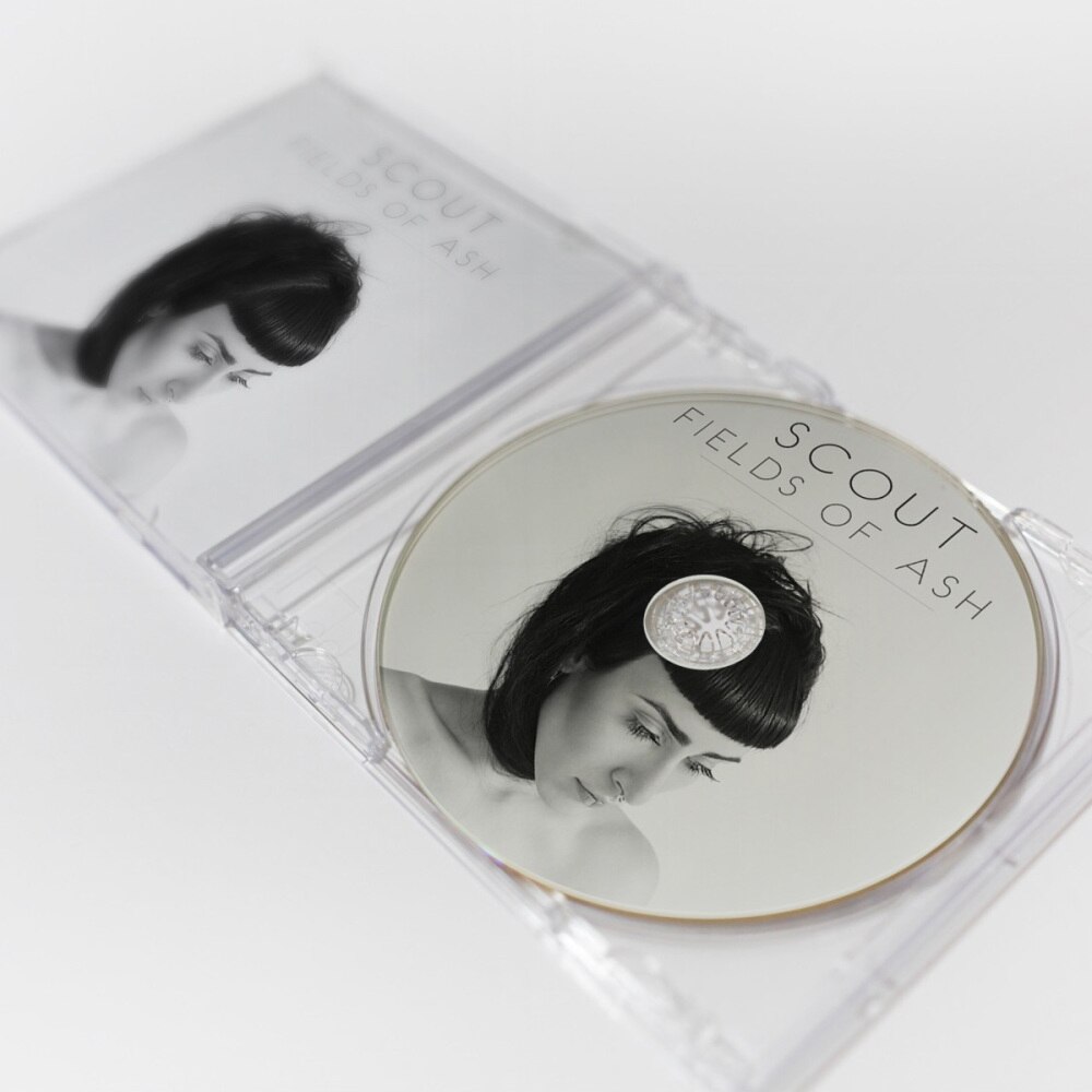 5 st dubbel cd juvelfodral med monterad genomskinlig bricka standard tom klar utbytes dvd-fodral portabel cd-paketfodral