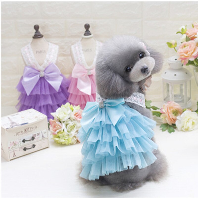 Vêtements pour animaux de compagnie de luxe pour petit chien robe princesse mariage Tutu robe nœud printemps été chien vêtements