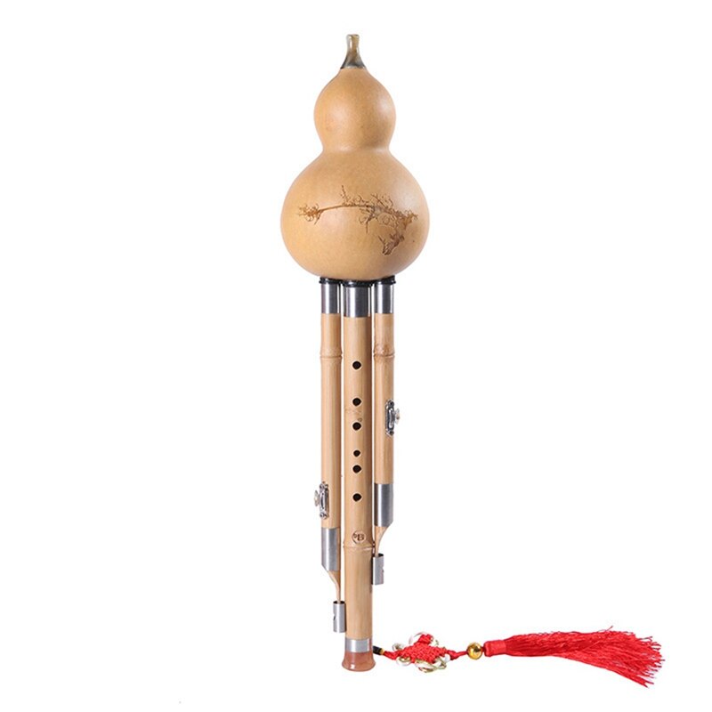 Chinese Bamboo Hulusi Gourd Cucurbit Handmade Flute Ethnic Musical Instrument Key of C with Case for Beginner