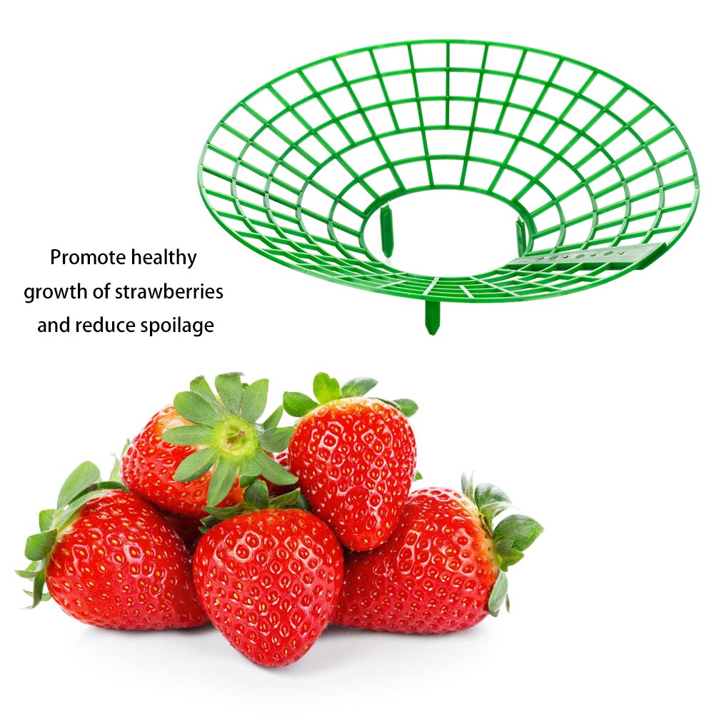Strawberry Supports Stand Plastic Seeds Vegetables Stand Removable Tools Strawberries Growing Strawberry Growing Circle
