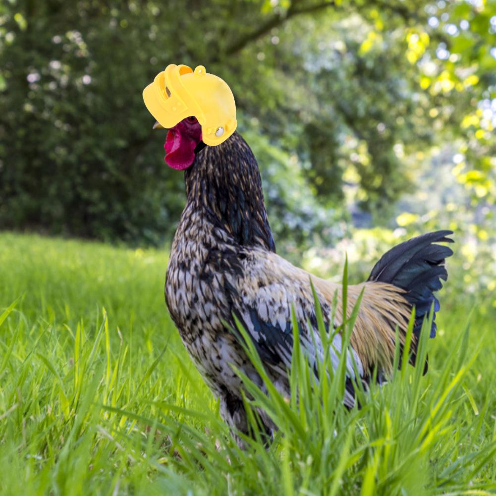 Pet Helmet Funny Chicken Helmet Small Pet Hard Hat Head Protection Compact Chicken Hen Hard Hat Pet Supplies