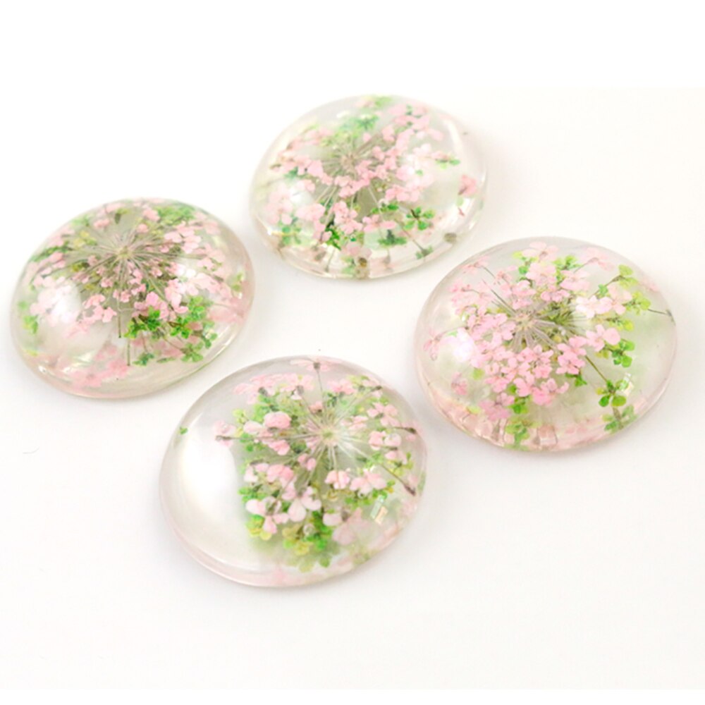 5pcs 25mm Mixed Natural Dried Flowers Flat Back Resin Cabochons Cameo: G3-24