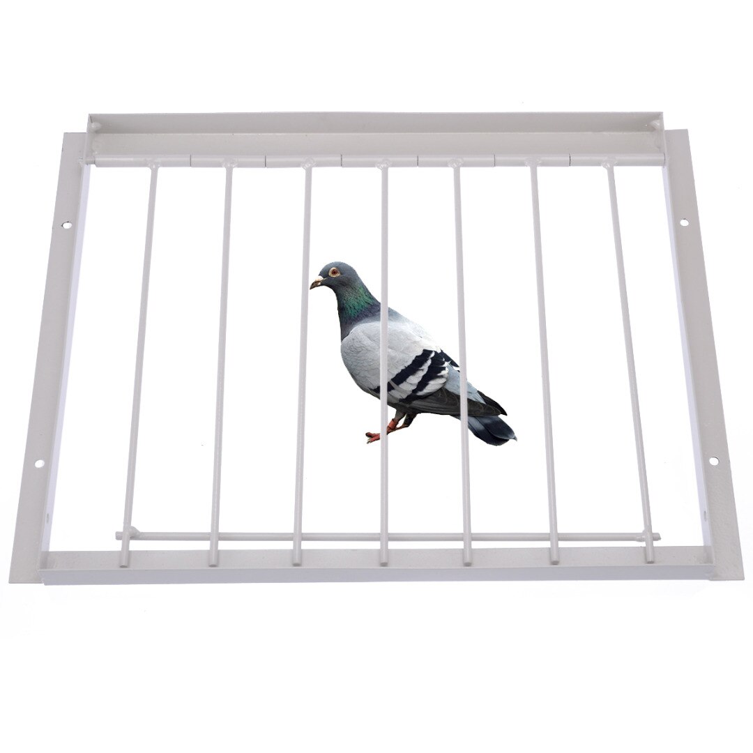 Racing Pigeon Bob Wires Bars Entrance Fantails Tumbler LOFT Bird Bed Cage Pet Supplies 2Sizes 30cm/40cm