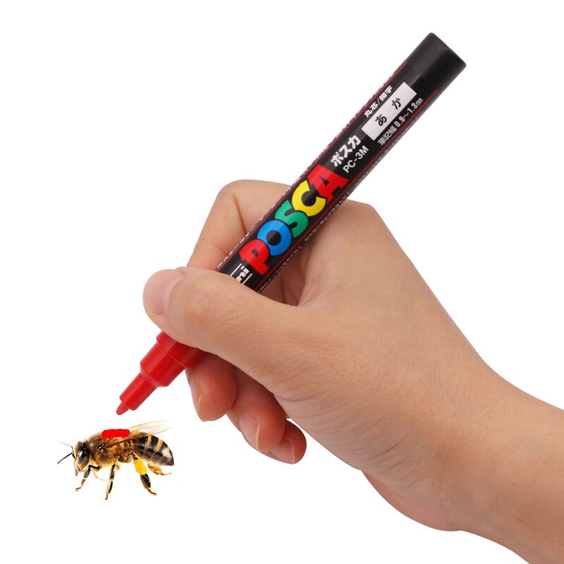 Stylo marqueur multiple pour Apiculture, 5 couleurs, marquage reine des abeilles, outils d&#39;identification des abeilles, stylo Posca Non décoloré, outil d&#39;apiculture pour apiculteur