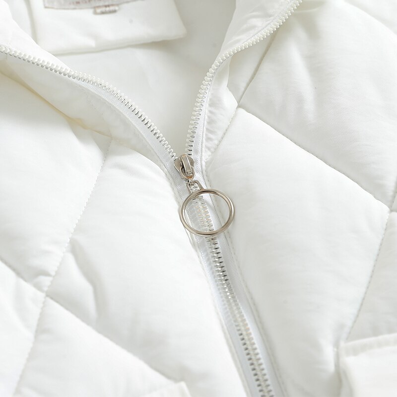 Chaleco con cremallera para mujer, chaqueta sin mangas con cuello levantado, color negro, para otoño e invierno,