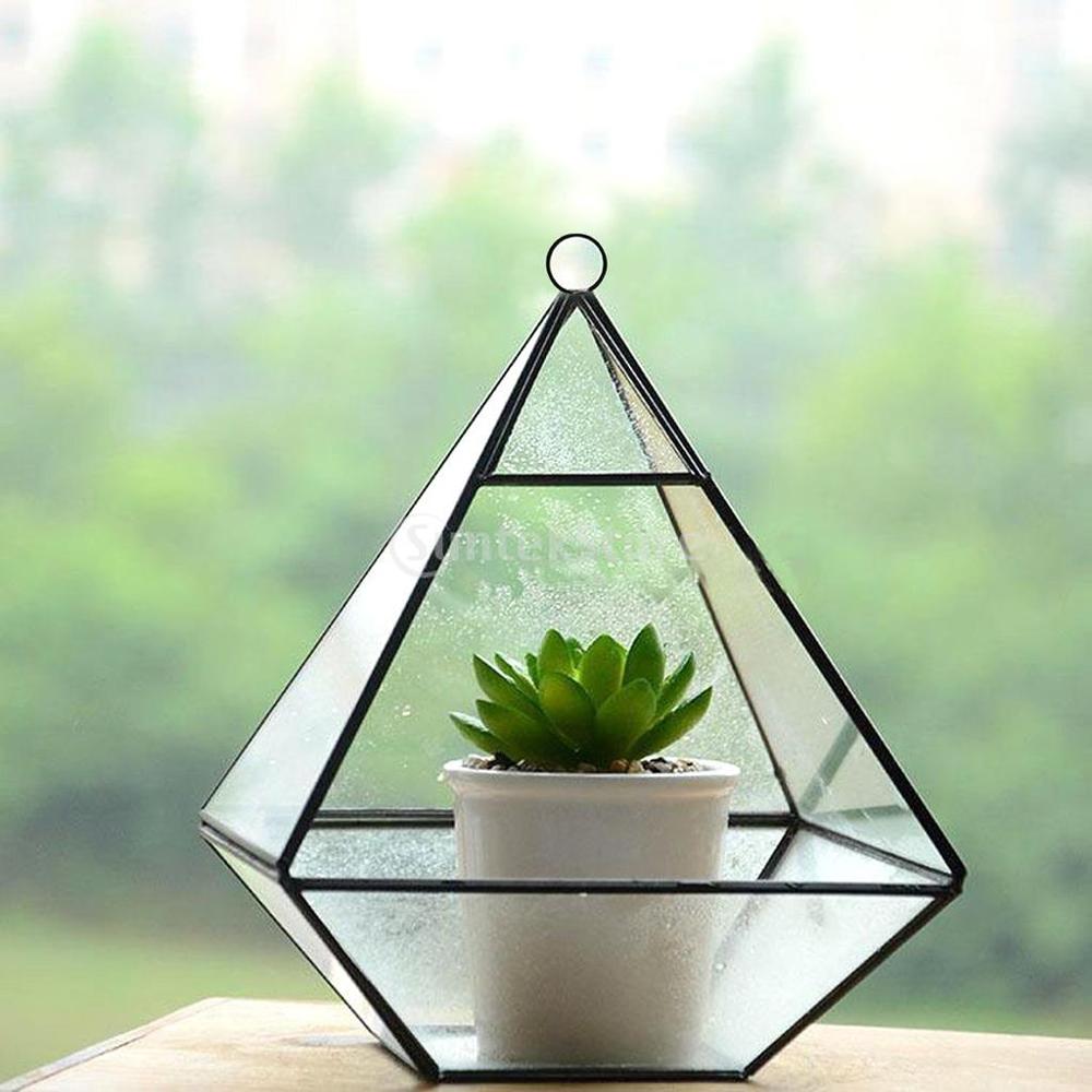 Glass Succulent Terrarium Box Air Plant Fern Moss Display Case Indoor Outdoor