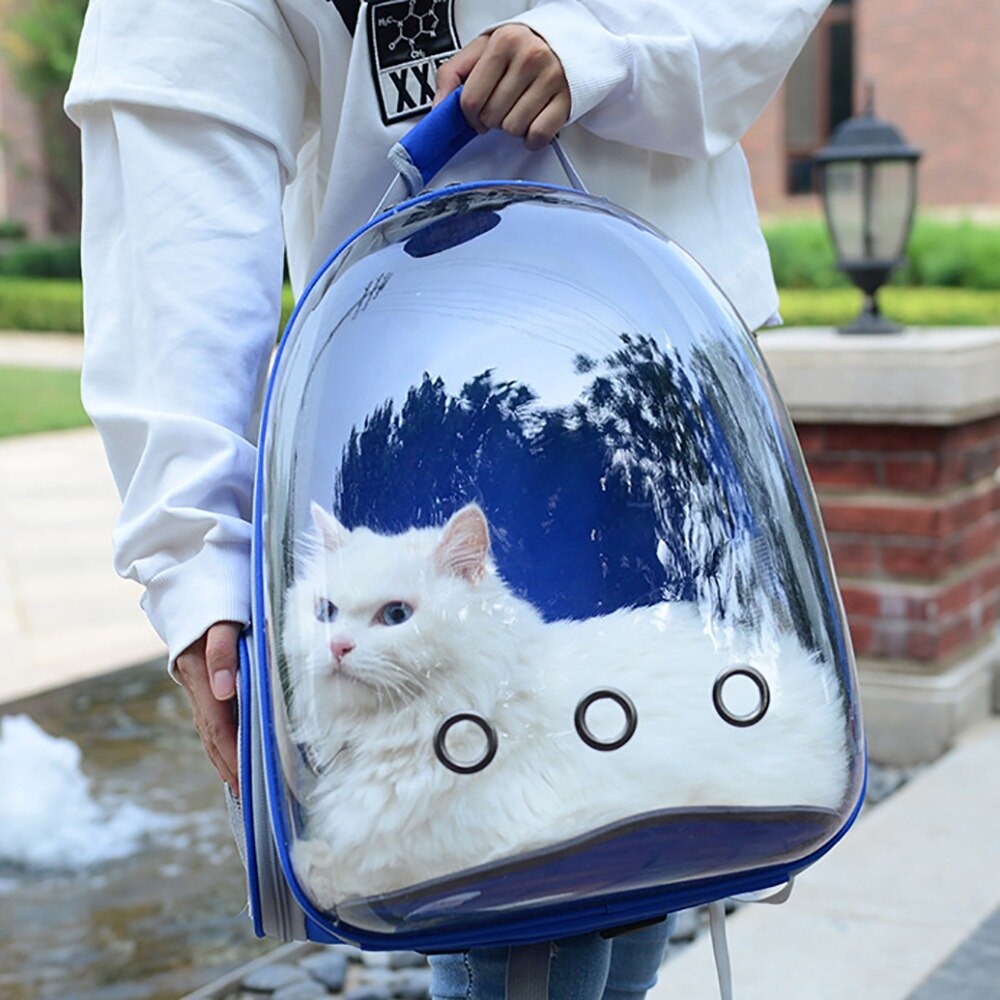 Uitbreidbare Kattendragerrugzak Space Capsule - Transparante Huisdierenrugzak Voor Katten En Kleine Honden (Zwart)