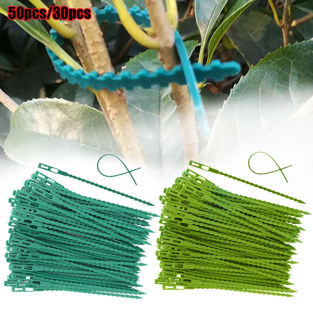 Bandas de cabo de planta tomate, peças, suporte de plástico para escalada, planta, ligatura, instrumentos para jardim l3