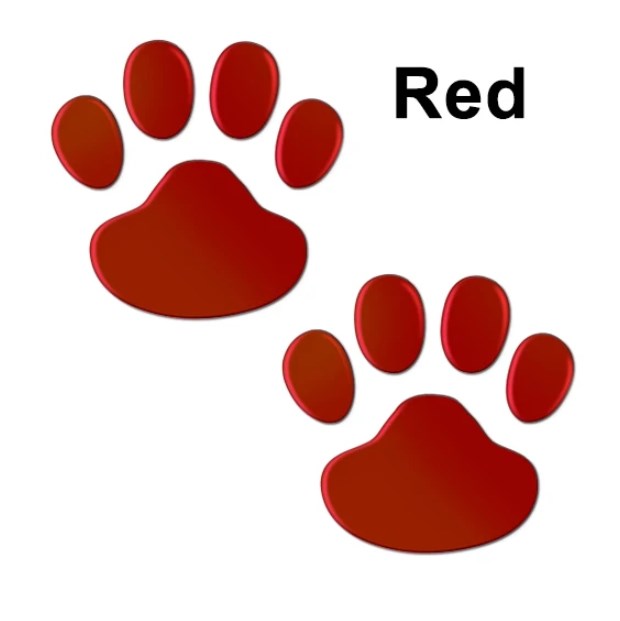 4Sheet Car Stickers Decals Paw 3D Animal Dog Cat Foot Prints Decal Car Motocycle Sticker Car Accessories: Dark Grey