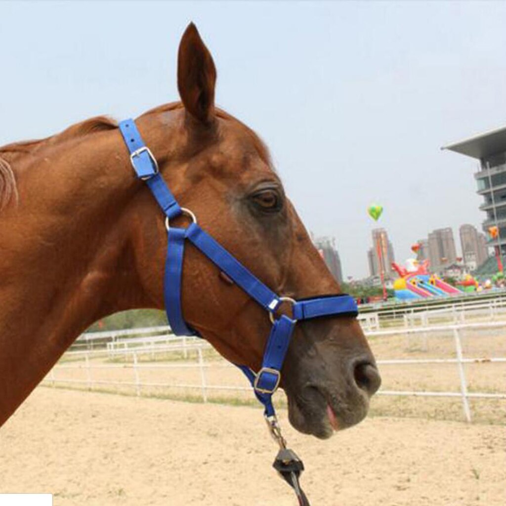 Adjustable Nylon Webbing Equestrian Western Horse Halter Horse Riding Wear