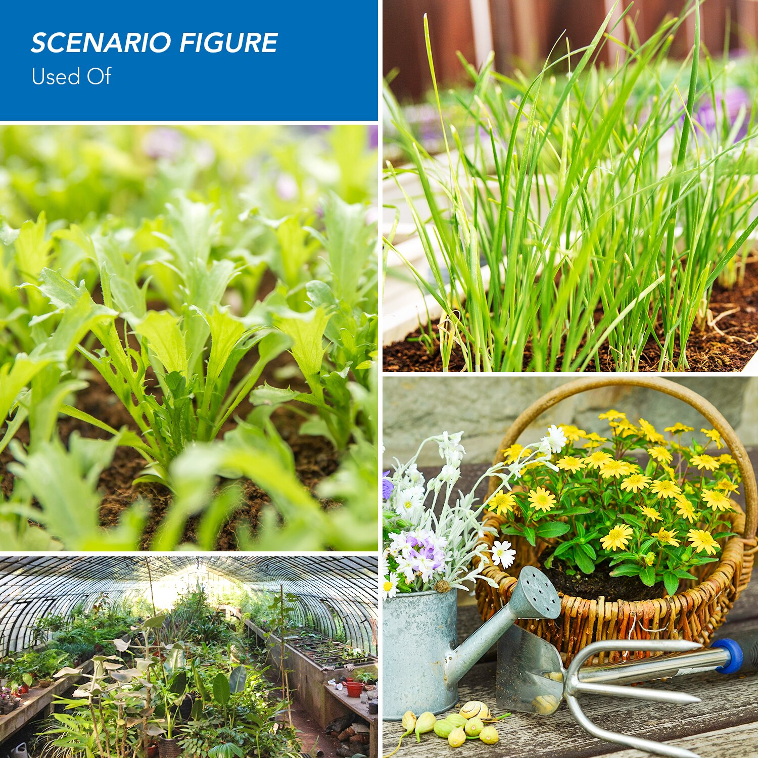 220V E27 LED Grow Light Bulb Full Spectrum Phytolamp For Plants UV Lamp Home Indoor Phyto Seedling Flower E14 LED Growing Lights