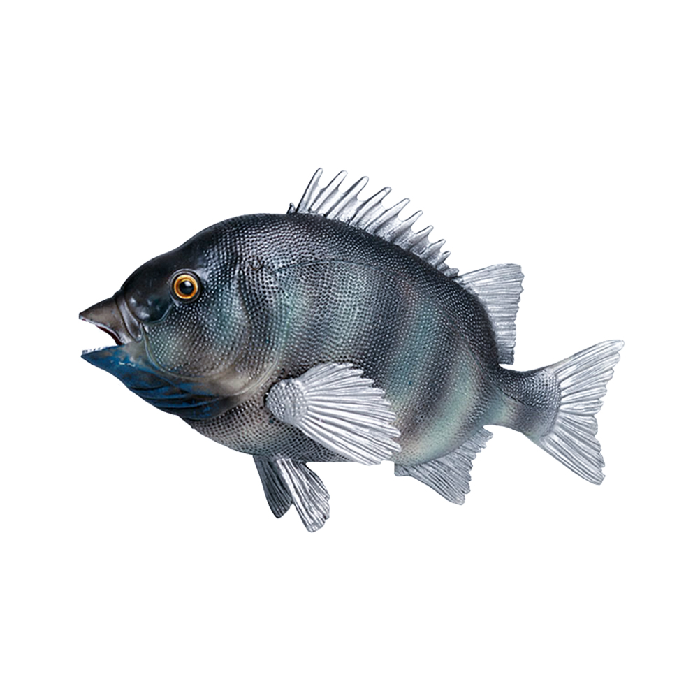 Plastic Bream Fish Model Simulated Fish Model Sea Animals Statue Ornament: Default Title