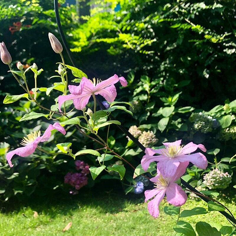 Heart Shaped Flower Stand, Climbing Frame, Suitable for Clematis, Roses and Other Climbing Plants