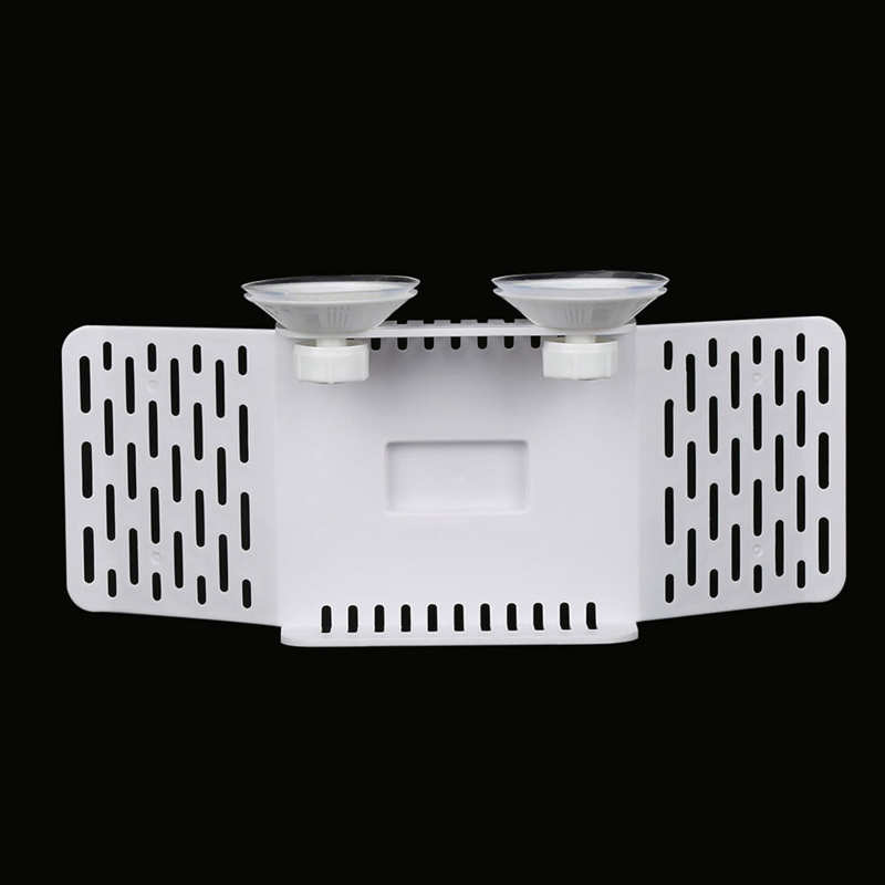 Bridge For Turtle Amphibious Reptile Drying Platform DIY Assembly with Climbing Coconut Tree Brazil Turtle Water Turtle Tortoise