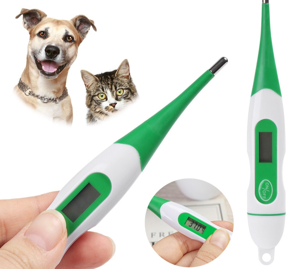 1Pc Digitale Thermometer Voor Honden Katten Varken Dieren Elektronische Thermometer Professionele Medische Hulpmiddelen Veterinaire Levert