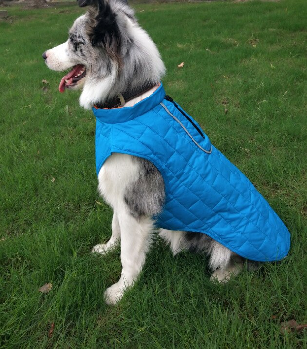 Winter Warm Dog Clothes Pet Dog Jacket With Harness Reflective Clothes For Big Dogs Labrador Waterproof French Bulldog Jacket