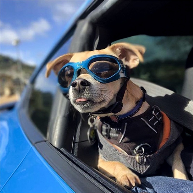 Gafas de sol bonitas para perros y mascotas, 6 colores, gafas de sol para mascotas y gatos, protección ocular para cachorros, accesorios de aseo para mascotas, decoración para mascotas