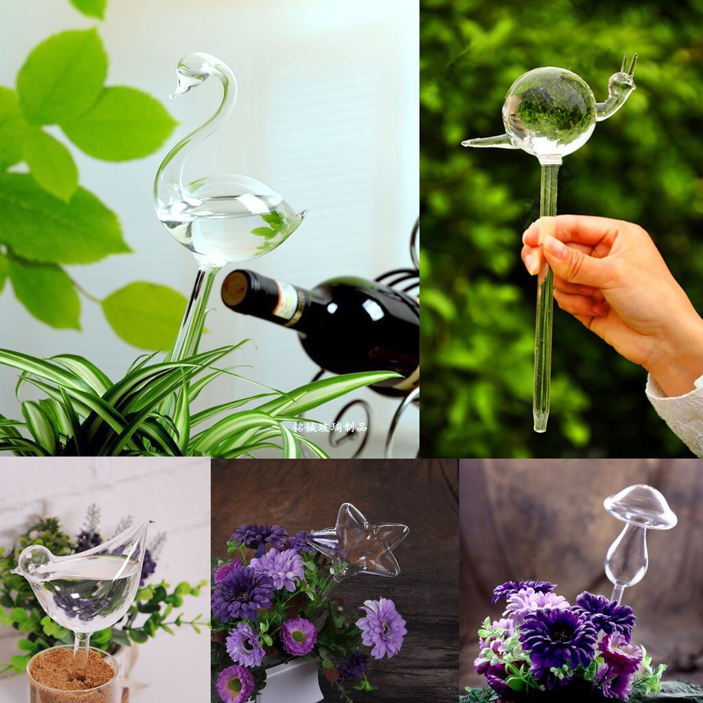 Klart glas selvvandende kugler plante blomster små automatiske vanding løg til pottehave udendørs indendørs