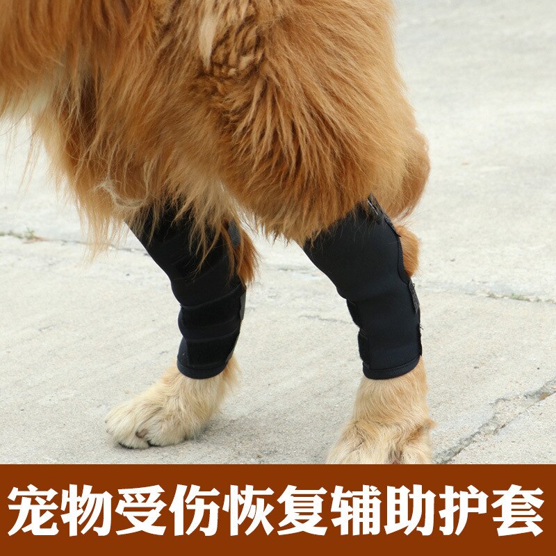 Huisdieren Artikelen Warmte Verkoop Kneepad Hond Leggings Huisdieren Beschermende Kleding Bediening Beschermen Schede