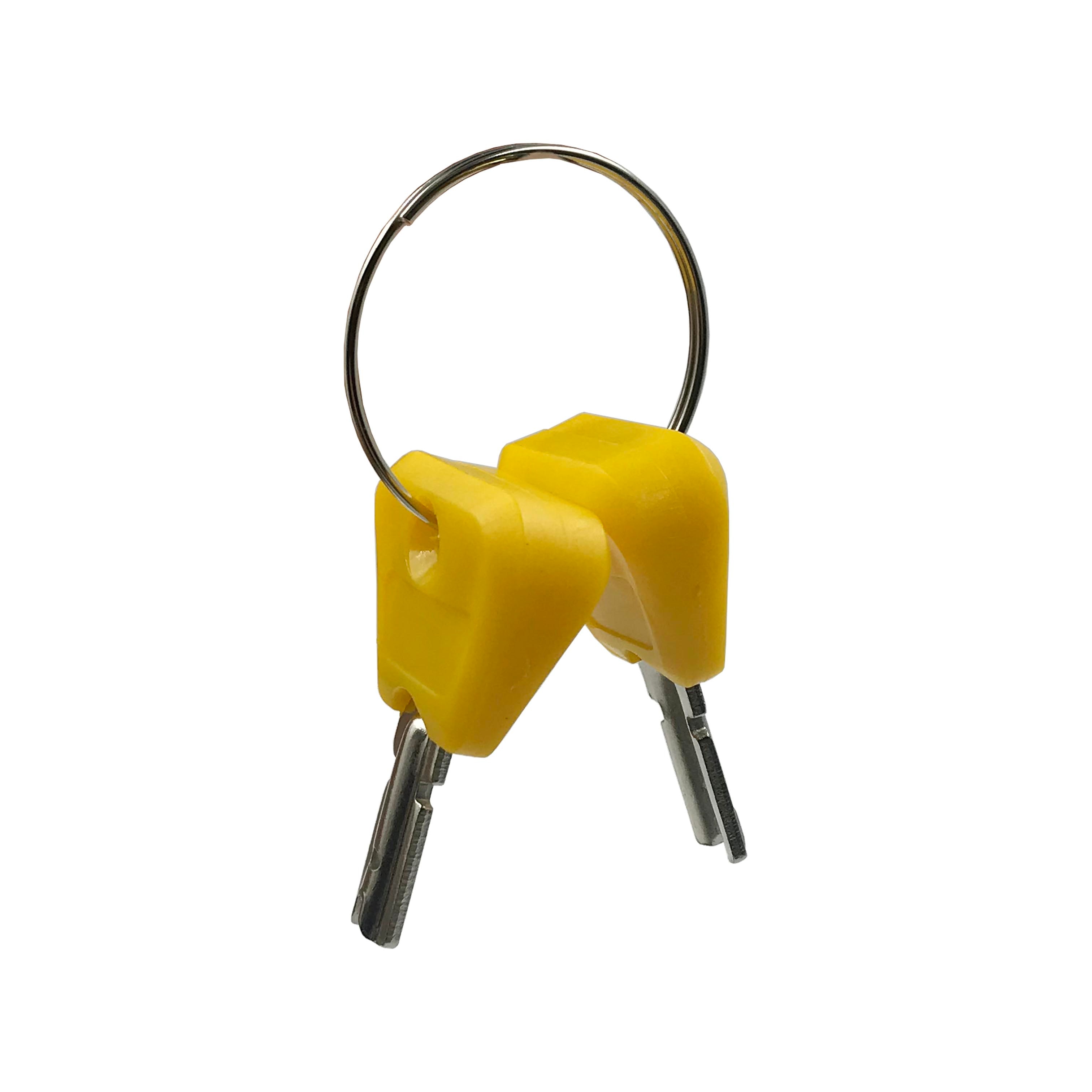 Interruptor de encendido clave para la carretilla elevadora Hyster 379902 reiniciar 2 llaves 2035830,1492154 de 2368655 para montacargas clark