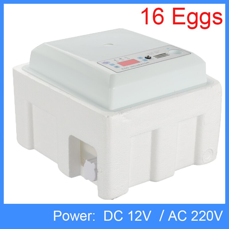 160 oeufs incubateur couveuse oiseau caille incubateur 220V 110V poussin écloserie volaille éclosoir tourneur automatique ferme incubateur outils: AC 220V DC 12V