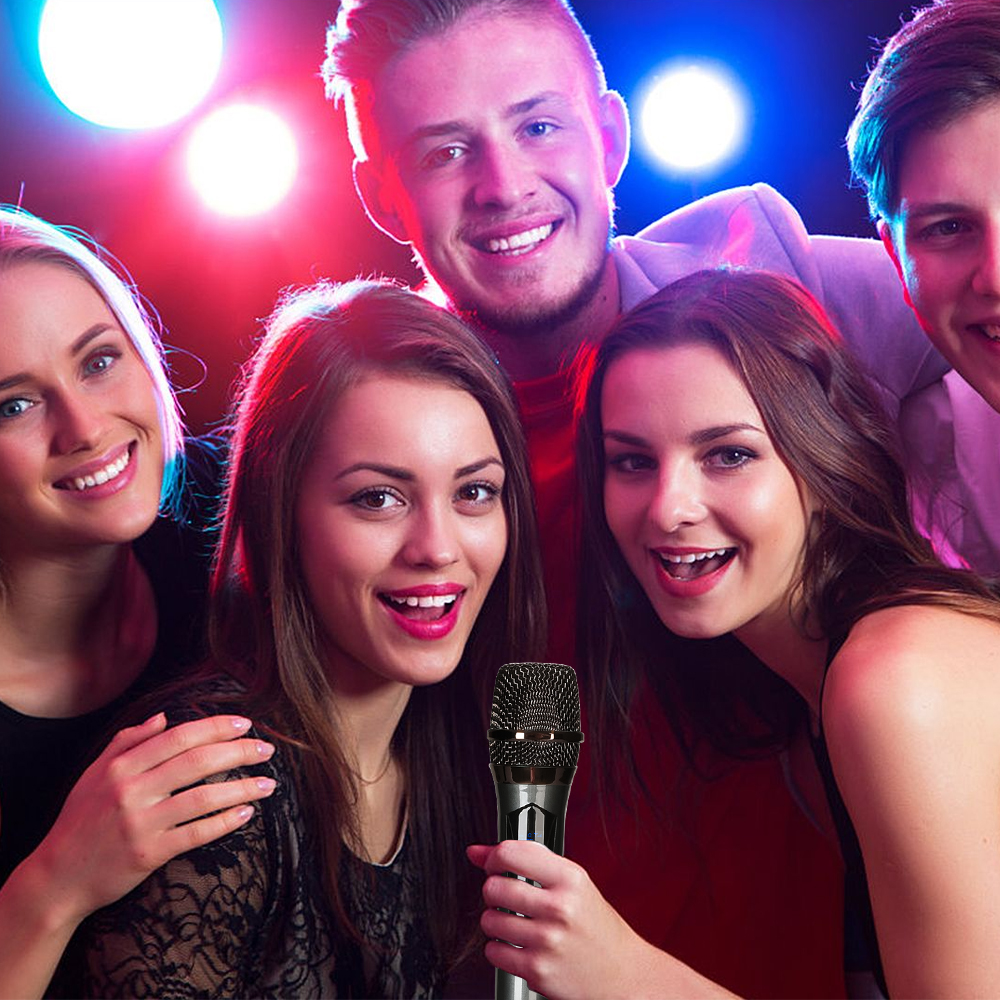 Wireless Microphone 2 Channels UHF Handheld Mic Micphone For Party Karaoke Church Show Meeting