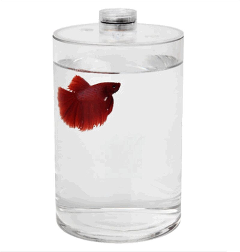Desktop betta fish tank Mini live fighting fish tank Office desktop diy Small micro landscape HD glass: Default Title