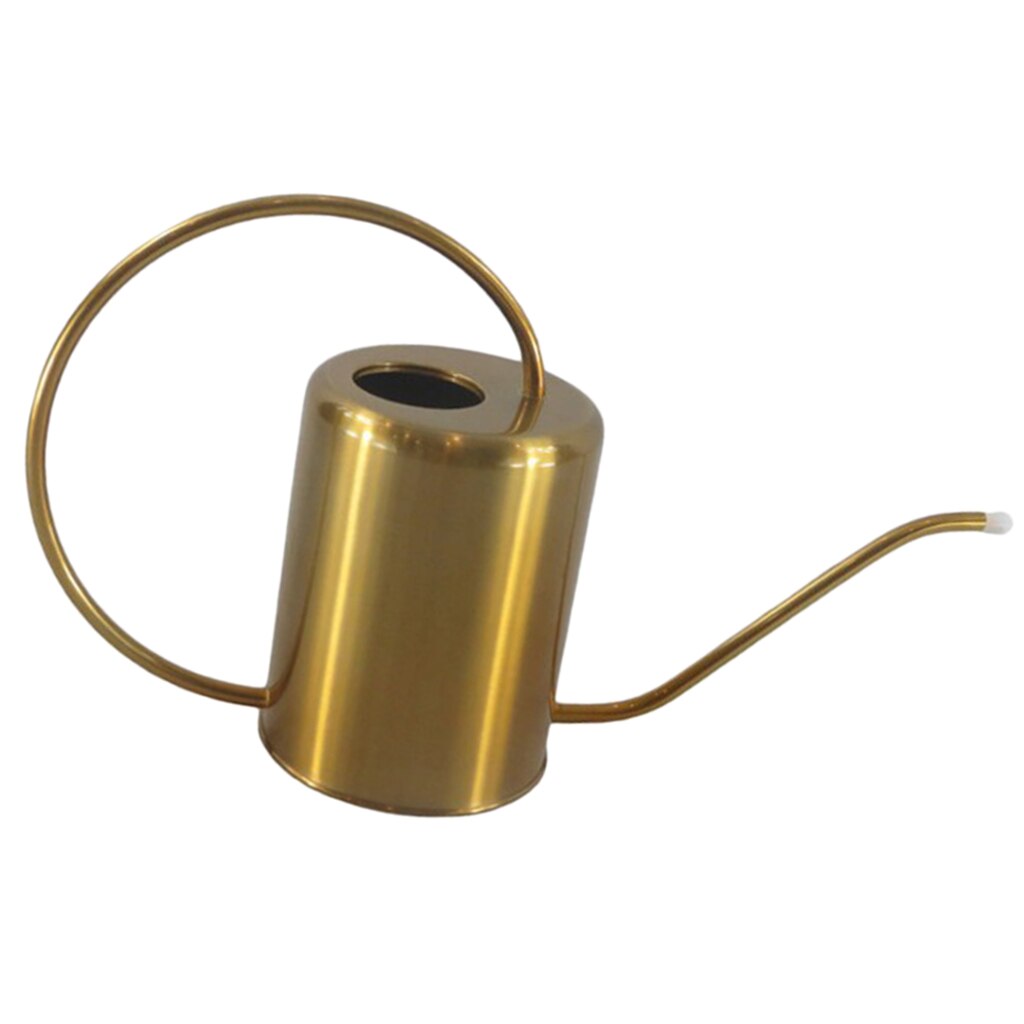 Regadera de jardín con caño largo, recipiente de riego inoxidable para plantas de casa, 2.0L