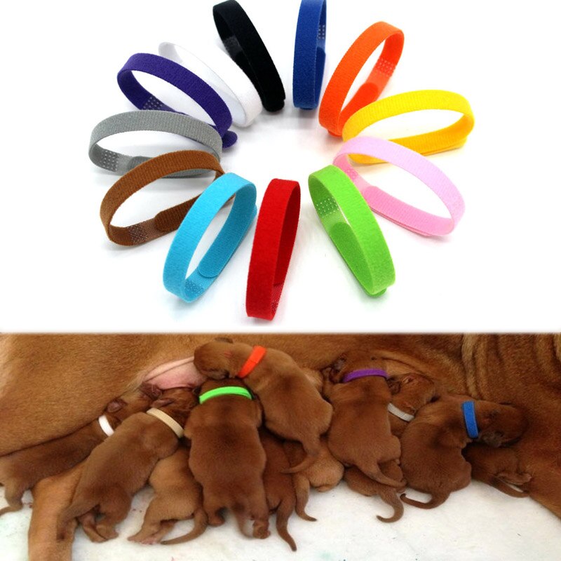 Kæledyrsforsyning hundehalsbånd klæbebånd 12 farver hund id tag krave tilbehør blødt materiale nylon hundehvalp hund