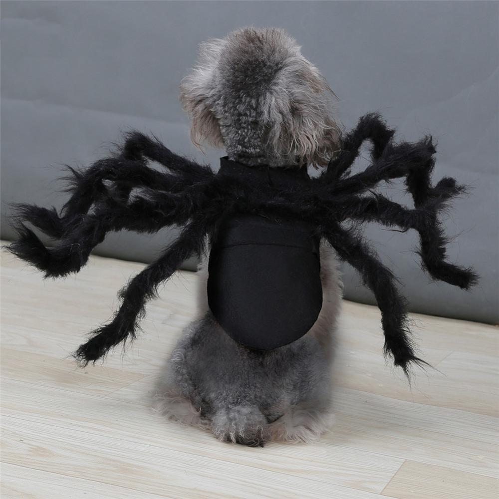 Halloween kæledyrsprodukter kæledyr cosplay edderkop kostume hund kat edderkop festtøj
