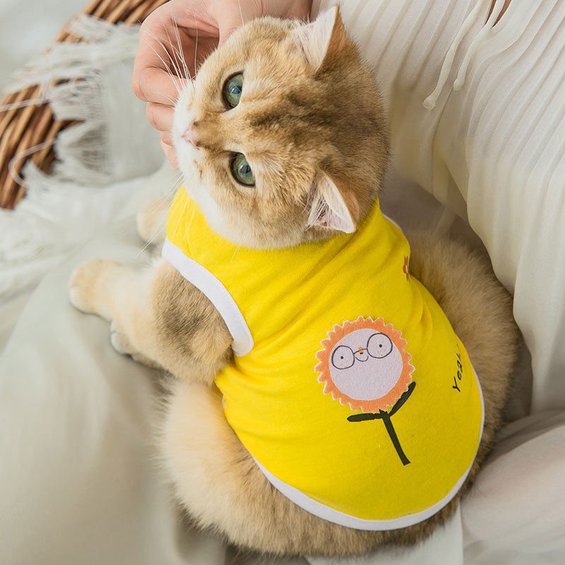 Vêtements mignons de chiot de dessin animé pour petits chiens, Costume de loisirs de printemps pour chat imprimé, vêtements pour animaux de compagnie pour teddy sport