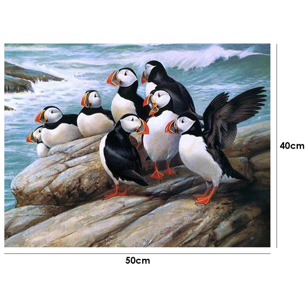 40x50cm Oli peinture par numéros Kit bricolage féroce aigle toile huile Art photo décor à la maison Animal fait main pas de cadre: 10
