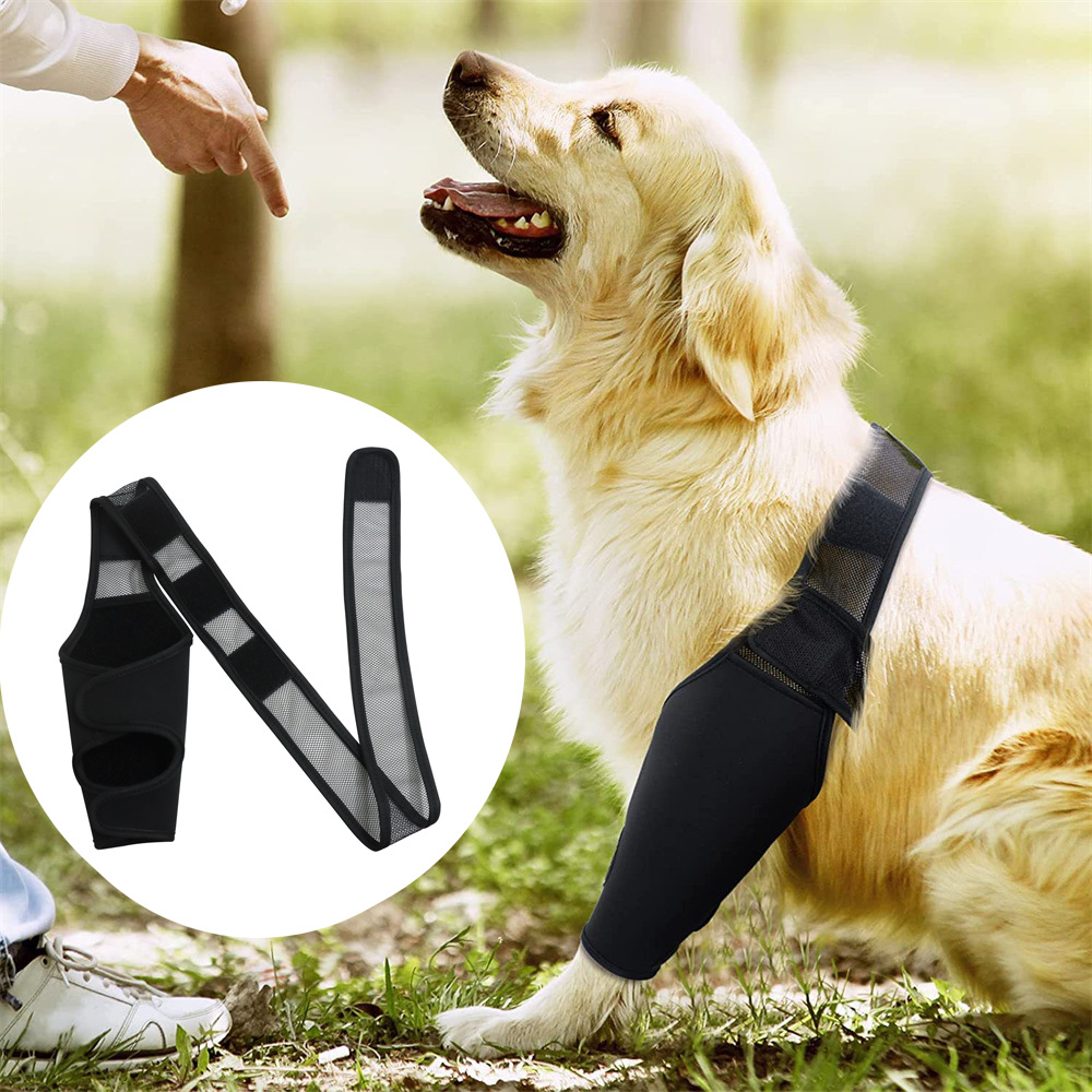 Hond Beensteun Ongelingeerd Voor Postoperatieve Fixatie Huisdier Kniebeschermers Voor Gewrichtsblessure Herstel Benen Brace Hond Heupgewricht Beschermen