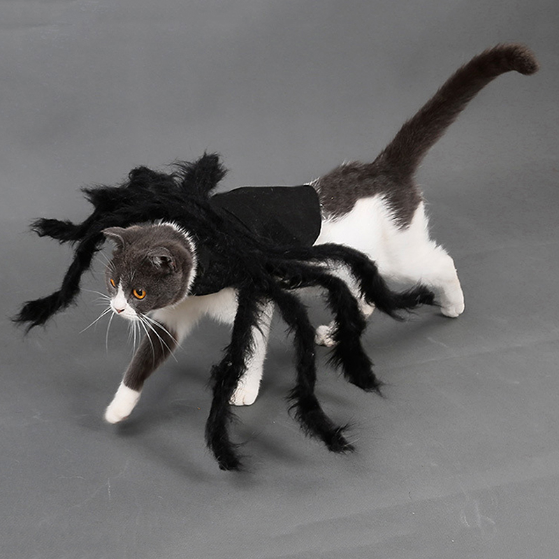 Costume d&#39;araignée pour chien et chat, vêtements pour animaux de compagnie, déguisement d&#39;halloween, fête de noël, accessoires pour animaux de compagnie, 2022