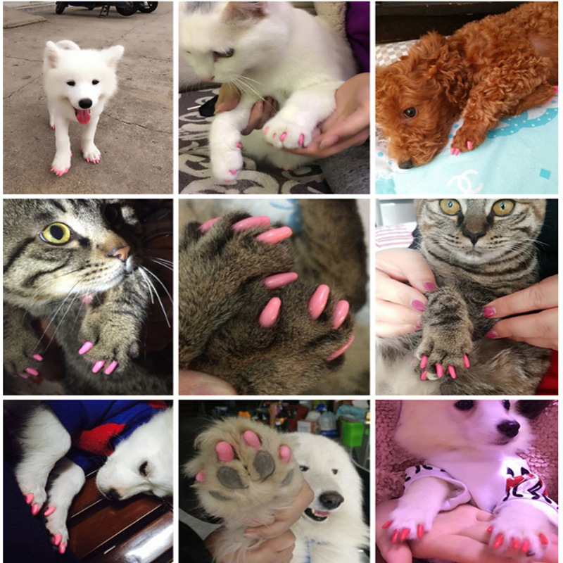20 piezas perro tapones para uñas de gato suave de silicona Anti-cero pata de Protector de la cubierta del perro del garra aseo manicura gato perro de cuidado de uñas