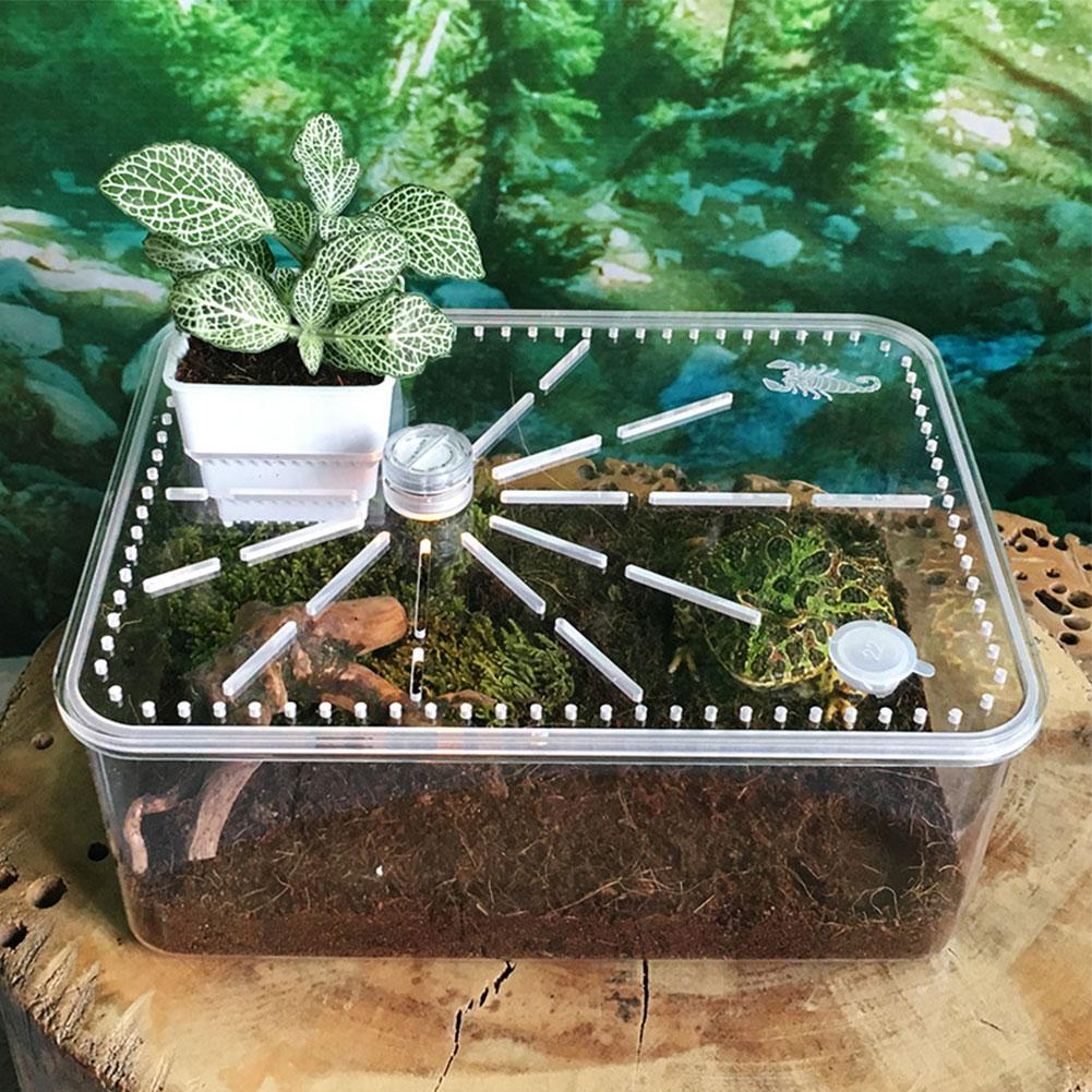 Reptile Tank Insect Spiders Tortoise Lizard Acrylic Transparent Breeding Box Vivarium Lid Reptile Pet Product Terrarium