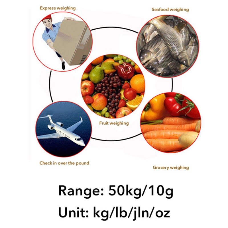 50Kg/110 Lbs électronique Portable LCD Balance numérique Double précision bagages poids balances balances d'équilibre pour crochet suspendu voyage