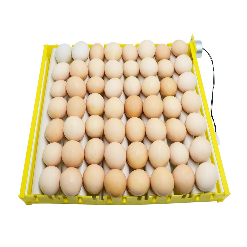 9 rohre Rolle Ei Tablett Wachtel Gans Huhn Ente Vogel GeflüGel Eier Fach Bauernhof Inkubation Mit Motor- Wiederum sterben Eier