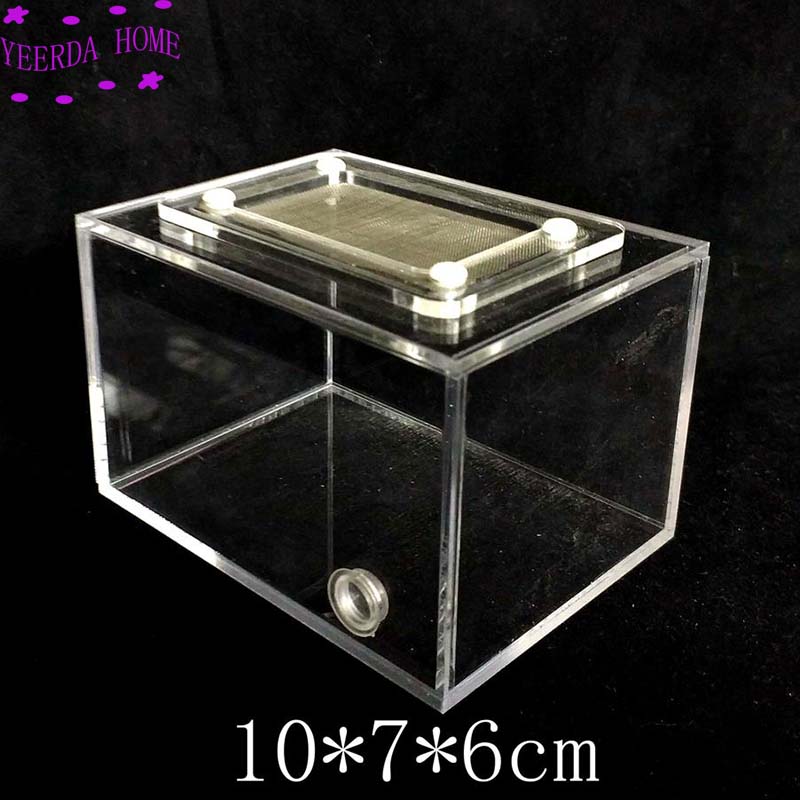 10x7x6cm Ant Reptile Box with Breathable Net Feeding Box ant nest active area ,ant farm acryl box