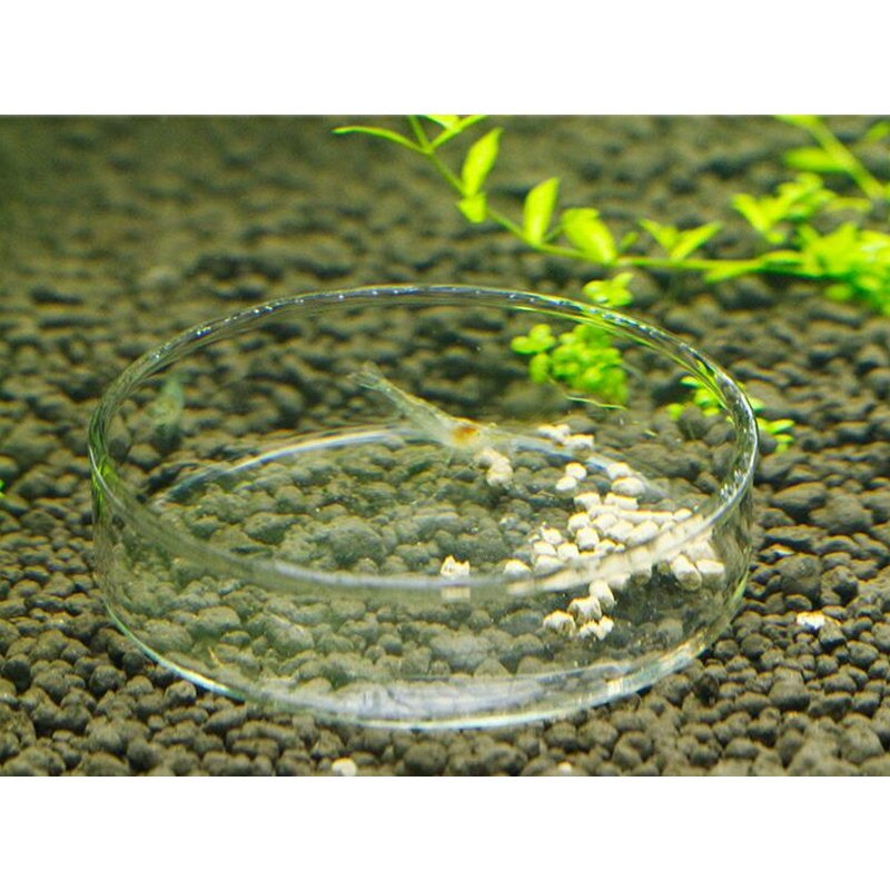 Round Aquarium Shrimp Food Feeder Feeding Bowl Cup Fish Tank Crystal Red Shrimp Snail Fish Food Dish Container